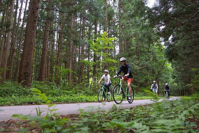 mount-haguro-e-bike-sightseeing-tour-in-yamagata-japan