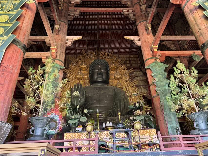 Nara: Half-Day Private Tour of 4 Must-See Spots & Deer Park