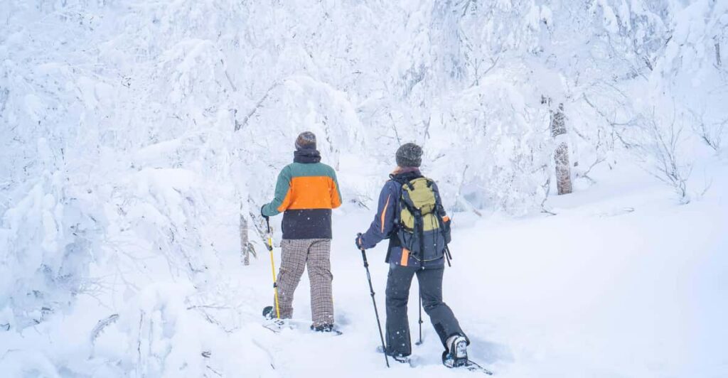 Noboribetsu: Orofure Pass Snowshoeing Tour