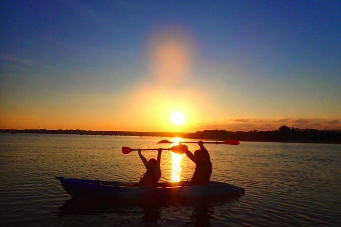Okinawa Iriomote] Sunset SUP/Canoe Tour in Iriomote Island