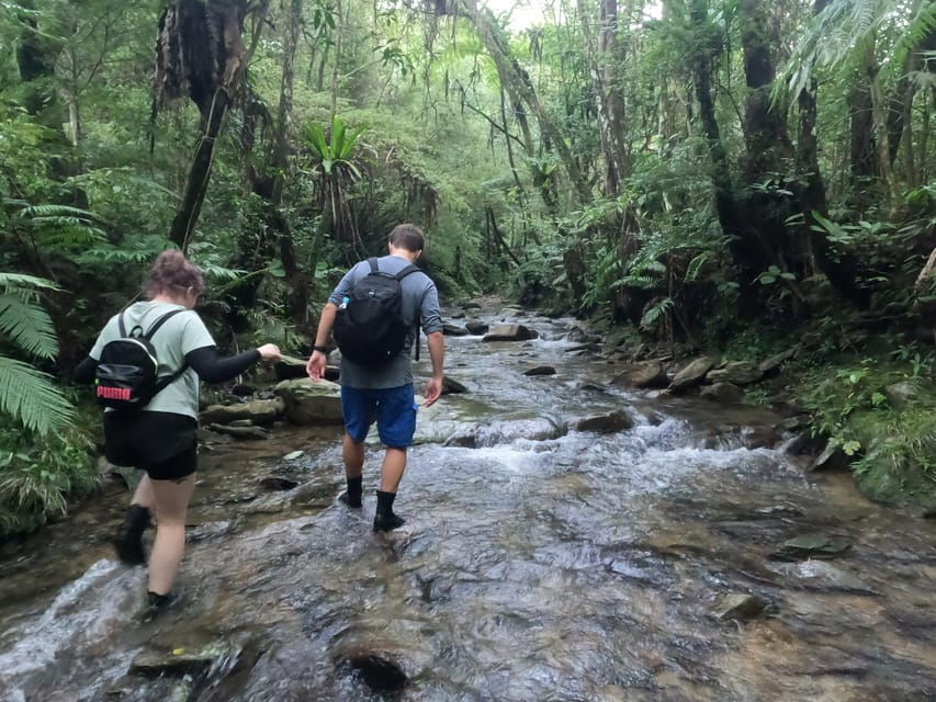 Okinawa: Jungle River Trek: Private Tour in Yanbaru