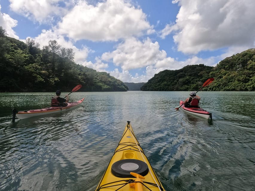 okinawa-private-kayak-mangrove-or-reef-with-native-english