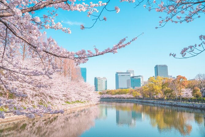 osaka-full-day-private-customizable-tour