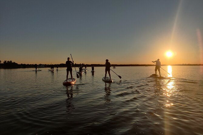 paddleboarding-in-dublin