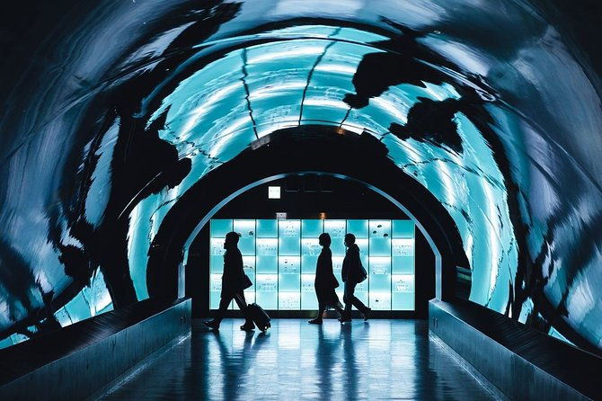 paris-private-transfer-orly-airport-to-paris-city