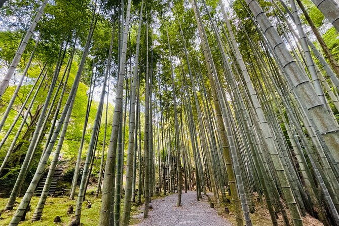 pedal-adventure-kyoto-e-bike-tour-true-kyoto-avoid-the-crowds