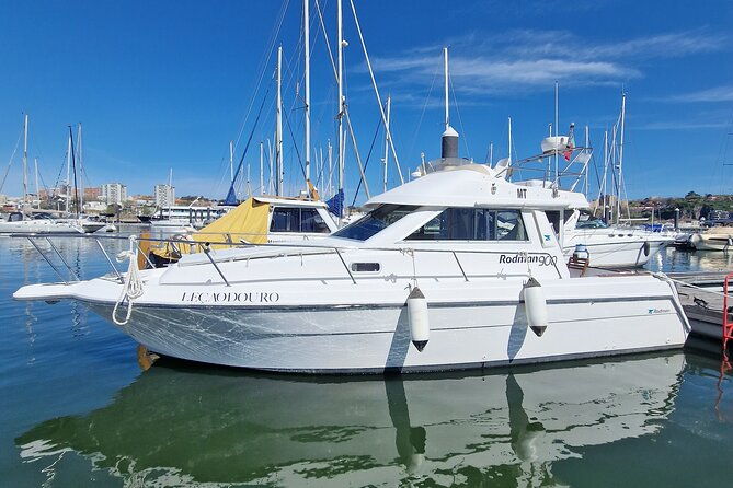 porto-6-bridges-tour-with-4-port-wine-tasting