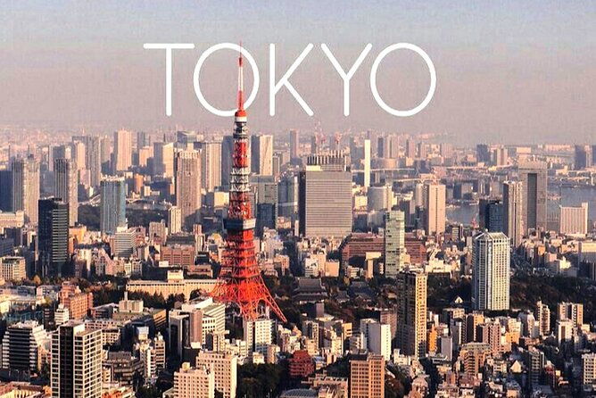 private-1-day-tokyo-city-tour-with-english-speaking-driver