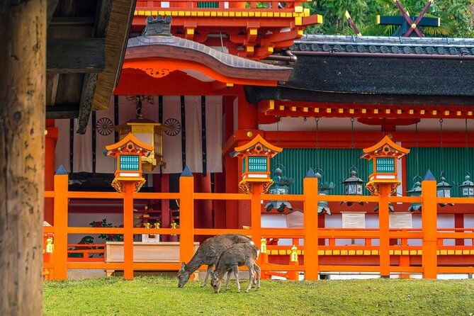 private-customized-3-full-days-tour-package-discover-kyoto-arashiyama-and-nara