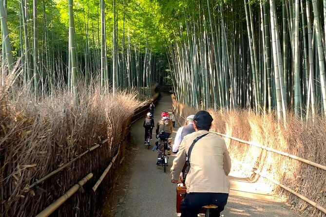 private-exclusive-kyoto-slow-cycling-tour-with-brompton