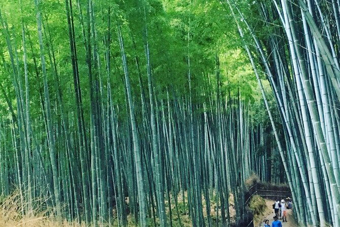 private-full-day-walking-tour-of-kyoto