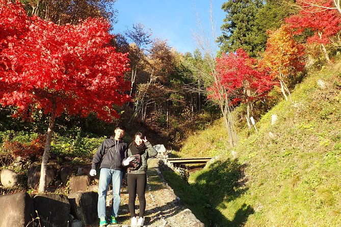 Private-group Morning Cycling Tour in Hida-Furukawa