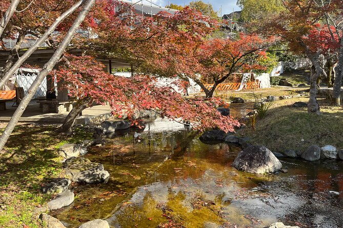 private-half-day-city-tour-of-kyoto