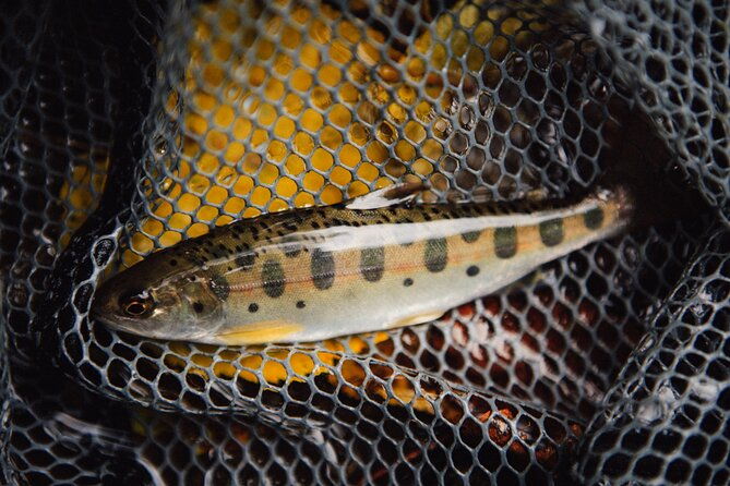 Private Hokkaido Fishing Tour With a Licensed Fisherman
