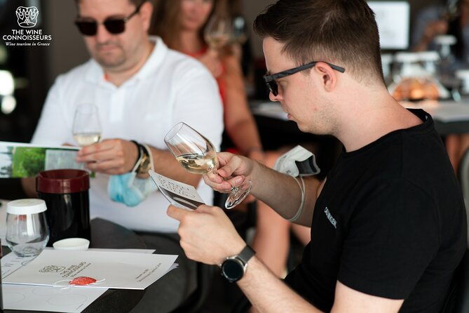 private-luxury-wine-tour-in-ancient-nemea-and-vineyards