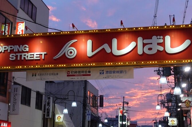 Private Night Tour and Exploring Shopping Street in Osaka