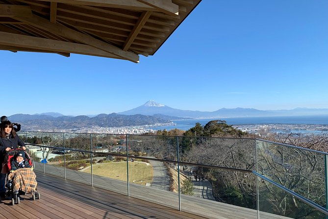 Private Sightseeing Tour From Shimizu Port / Van Taxi