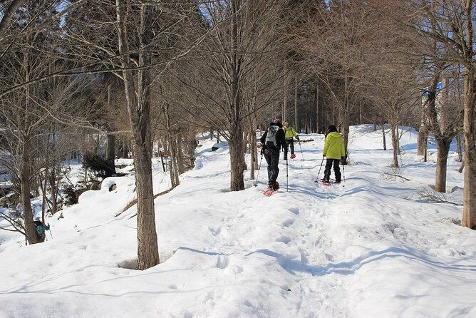 Private Snowshoeing Tour in Hida