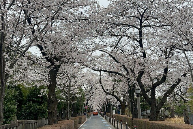 private-tokyo-tour-with-japanese-local-guide