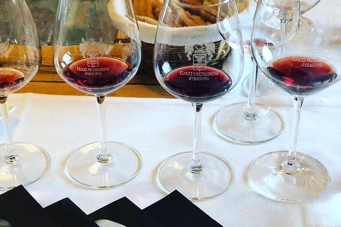 private-top-brunello-montalcino-wine-tour-food-pairing-session