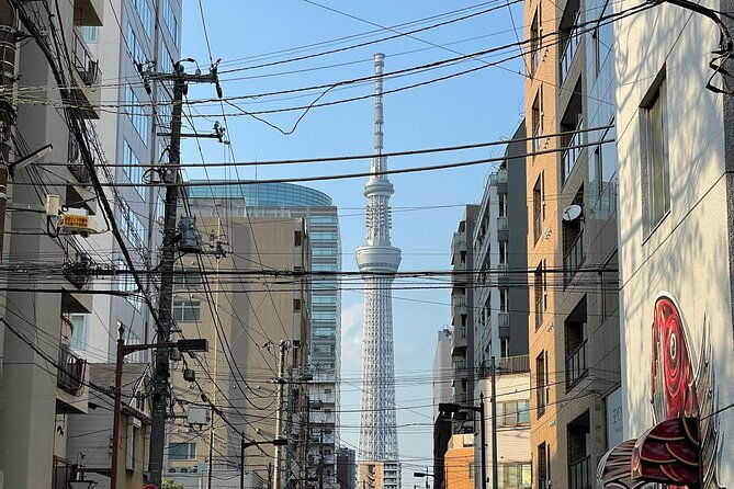 private-tour-in-tokyo