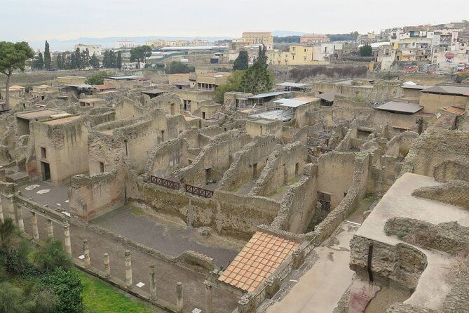 private-tour-of-pompeii-herculaneum-and-vesuvius-from-naples