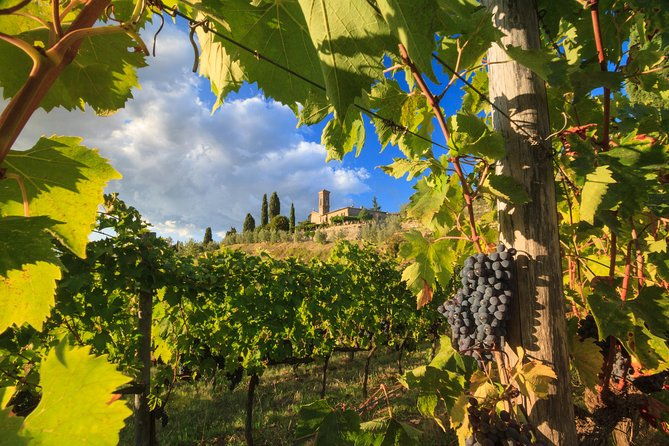 private-tuscany-tour-from-florence-including-siena-san-gimignano-and-chianti-wine-region