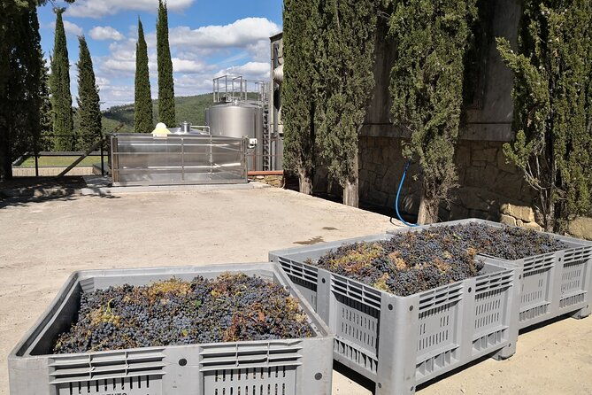 private-wine-tours-vip-wines-and-wineries-of-chianti-classico