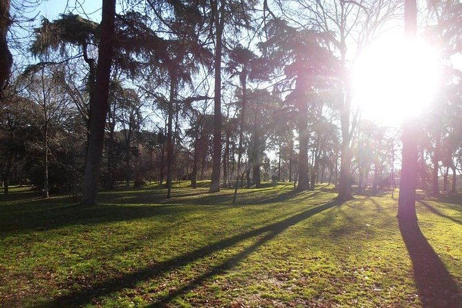 retiro-park-prado-museum-private-tour
