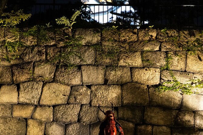 samurai-specific-osaka-castle-guides-private-tours-in-armor-photo