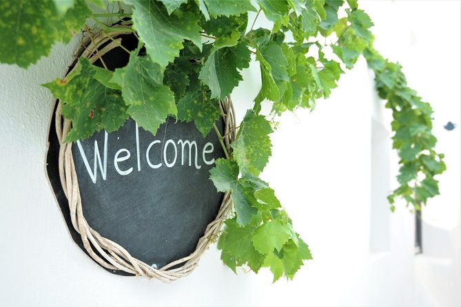 santorini-wine-tour-with-10-wine-tastings-and-oia-sunset