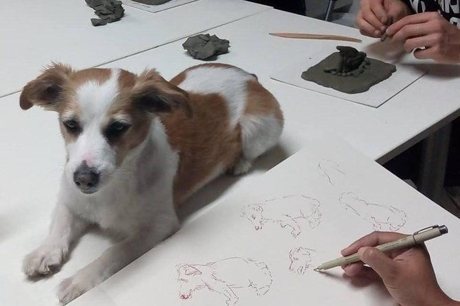 sculpt-to-florentine-pet