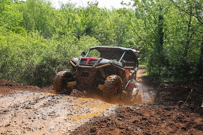 self-drive-off-road-buggy