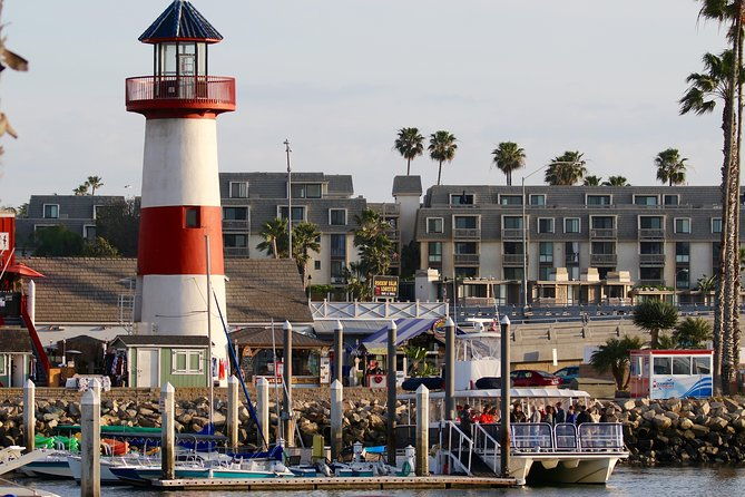 Shared Two-Hour Whale Watching Tour From Oceanside