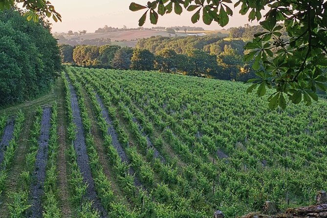 simple-visit-to-discover-the-domaine-darton