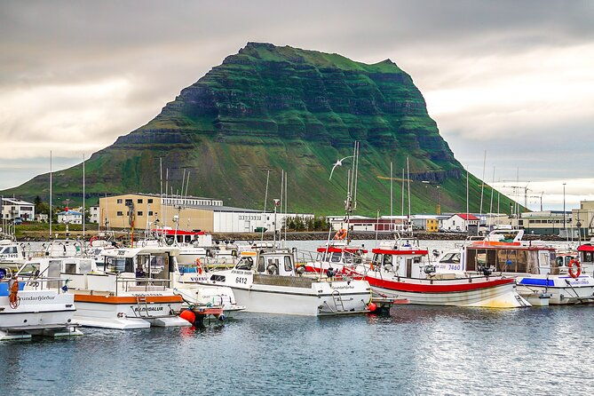 snaefellsnes-and-kirkjufell-day-tour-by-minibus-from-reykjavik