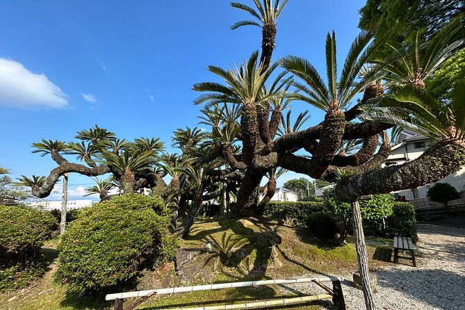 Step-Free Easy Going Tour From Shimizu Port / Van Taxi