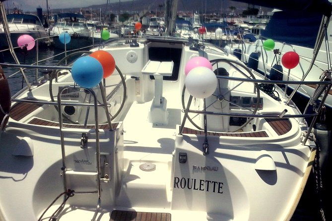 tenerife-3-hour-discover-whales-and-dolphins