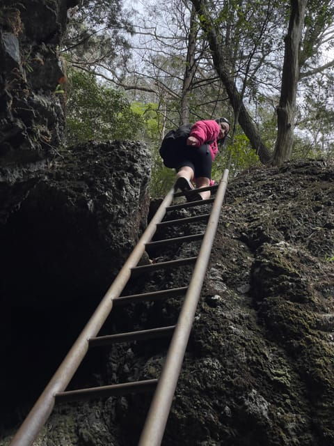 tokyo-day-trip-mountain-ridge-adventure