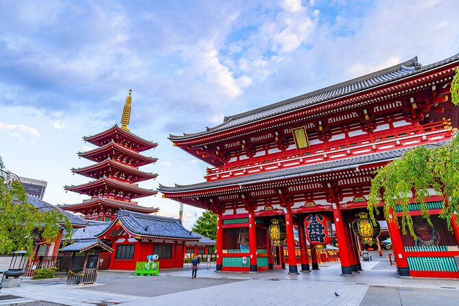 Tokyo Layover Tour English Speaking Driver Only : NRT Airport Dep