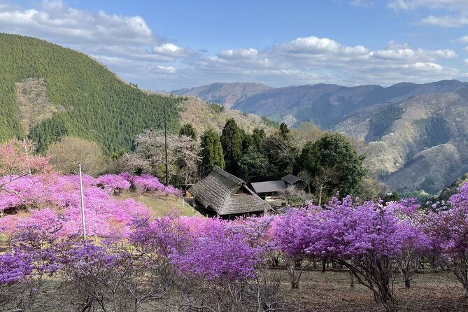 tokyo-okutama-day-trip-tour