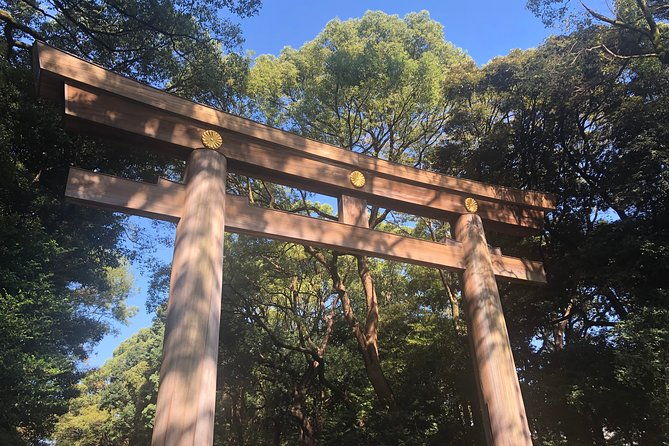 tokyo-personalized-full-day-tour-led-by-a-local-expert