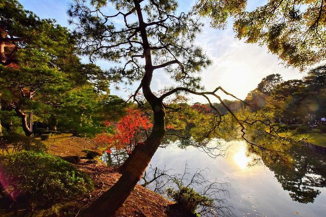 tokyo-photogenic-spots-visiting-tour