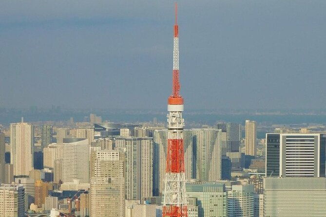 tokyo-private-day-tour-by-car-with-english-speaking-driver-guide