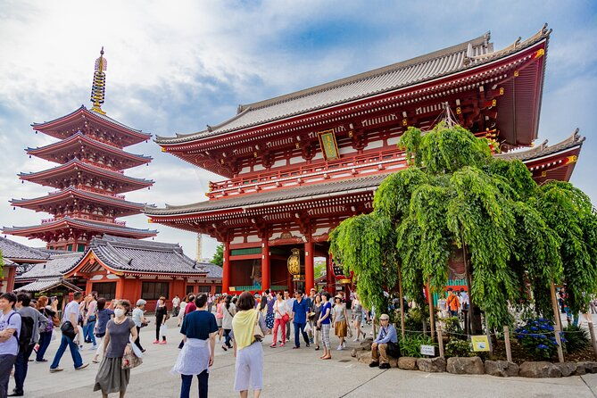 tokyo-private-driving-tour-by-car-van-english-speaking-driver