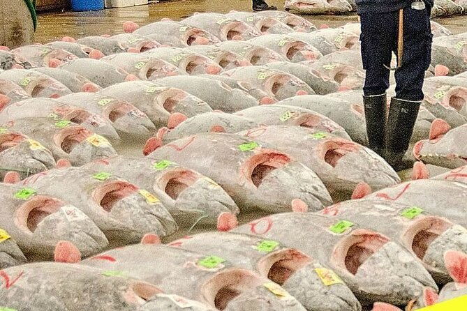 tokyo-private-trip-with-english-speaking-driver