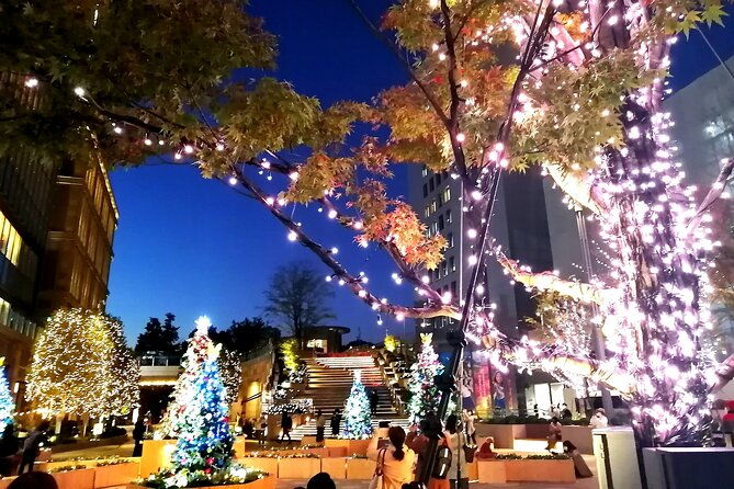 tokyo-winter-illumination-ebike-tour