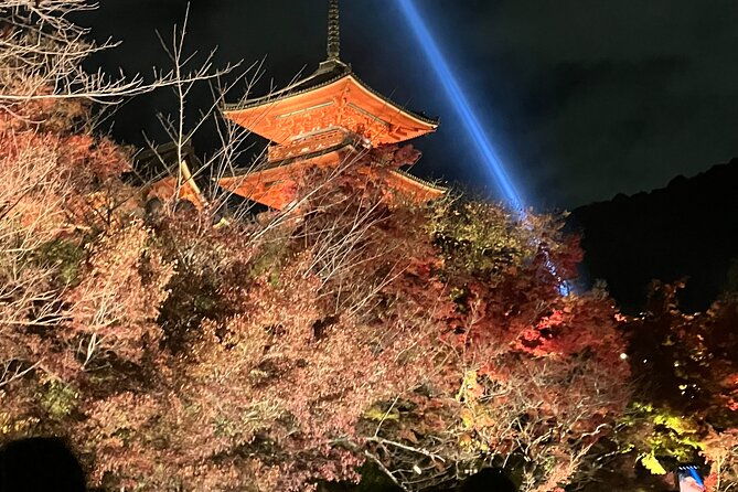 top-notch-walking-tour-of-historic-kyoto-gion-district