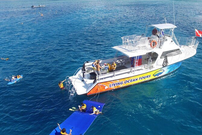 turtle-canyons-snorkel-excursion-from-waikiki-hawaii