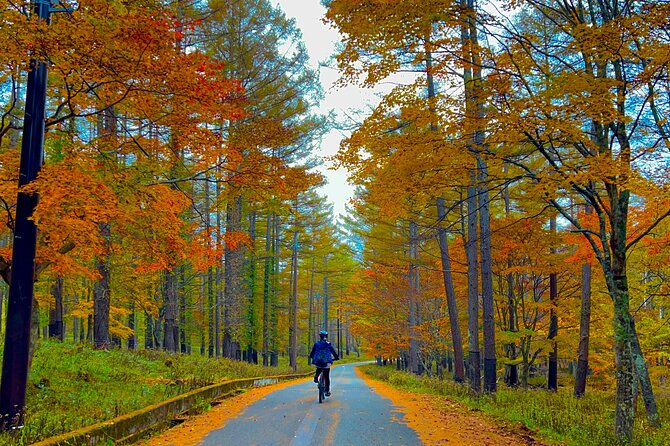 Two Days Nikko Cycling Tour Guided by a Local Monk